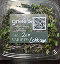 Red Cabbage Microgreens