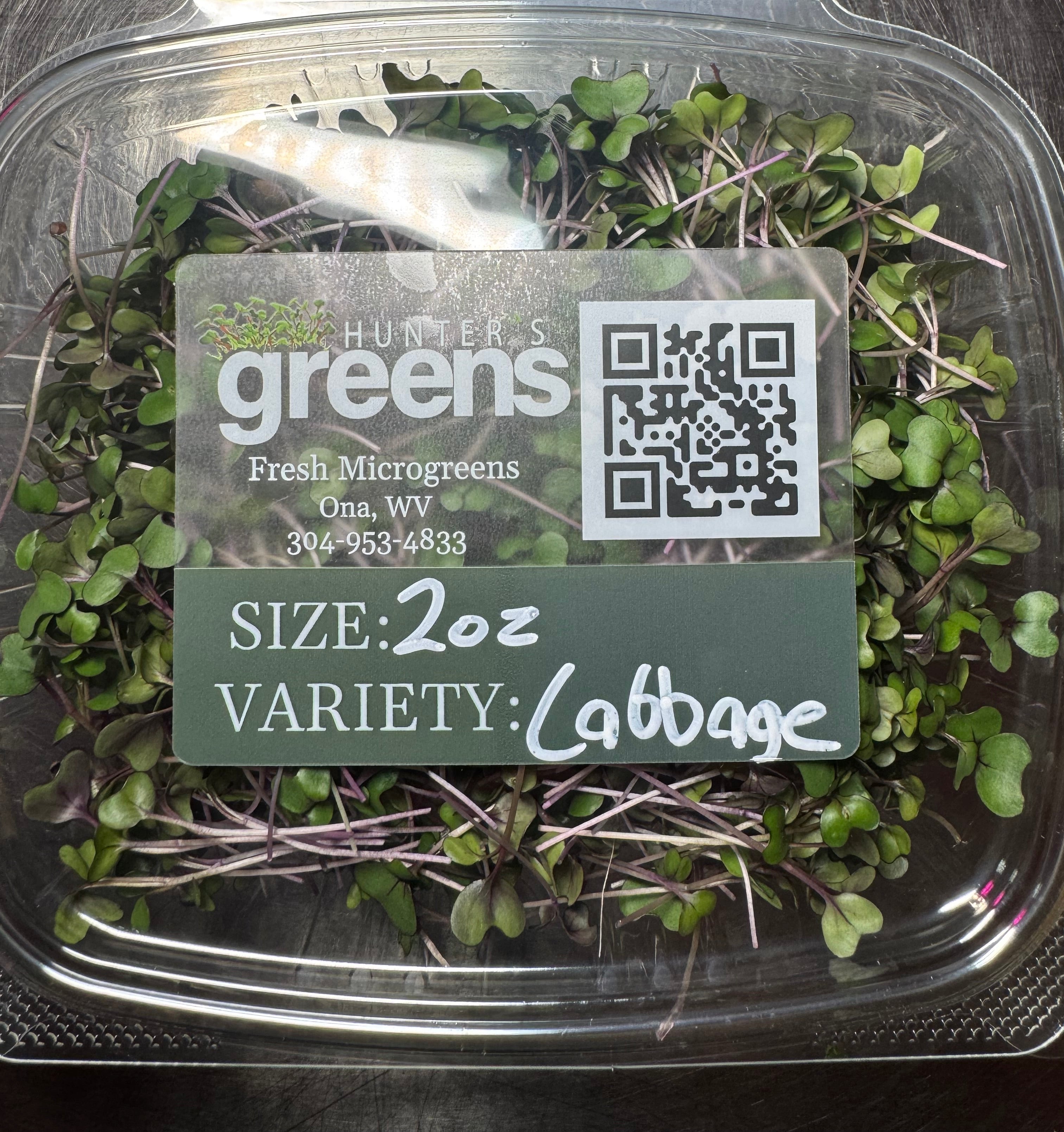 Red Cabbage Microgreens