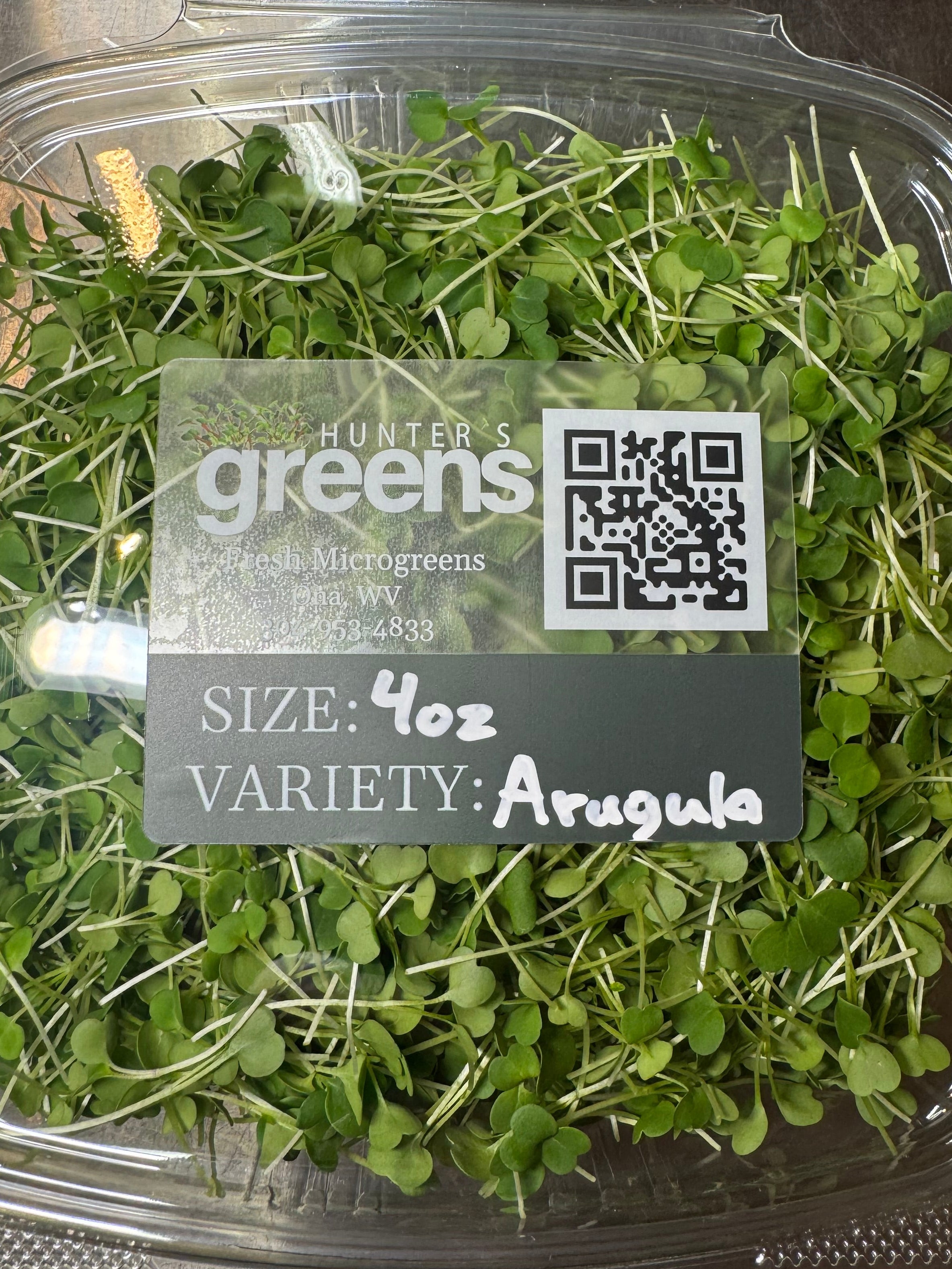 Arugula Microgreens