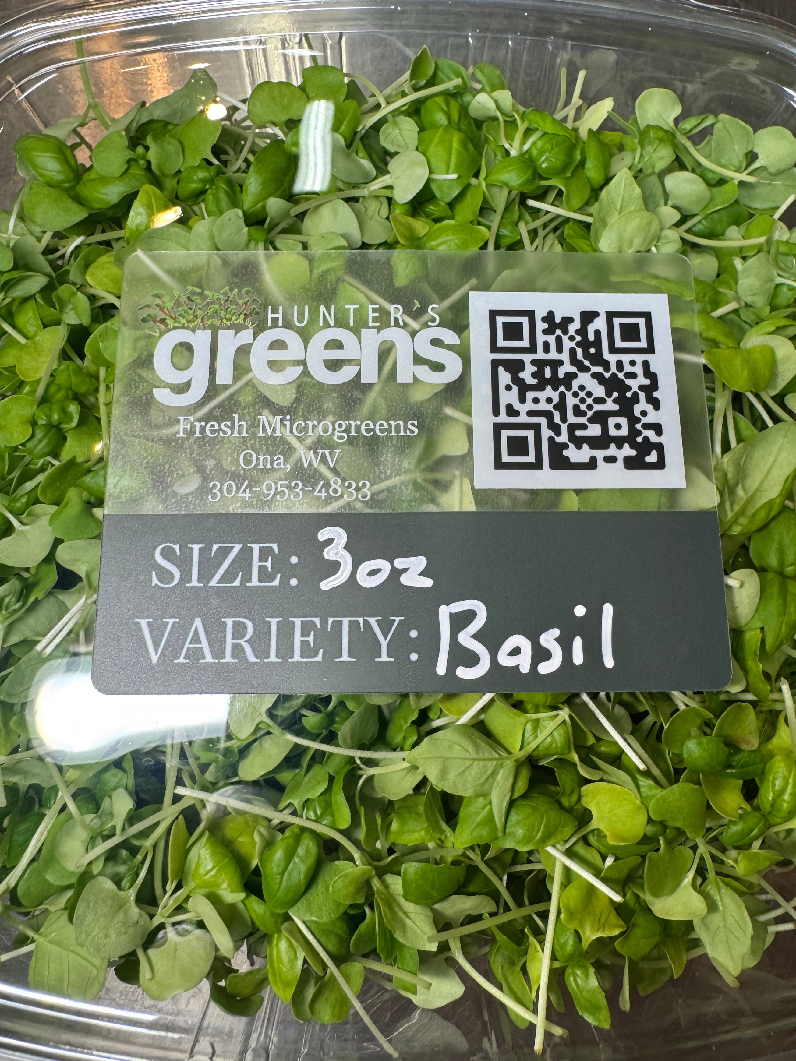 Basil Microgreens