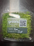 Dill Microgreens