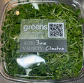 Cilantro Microgreens