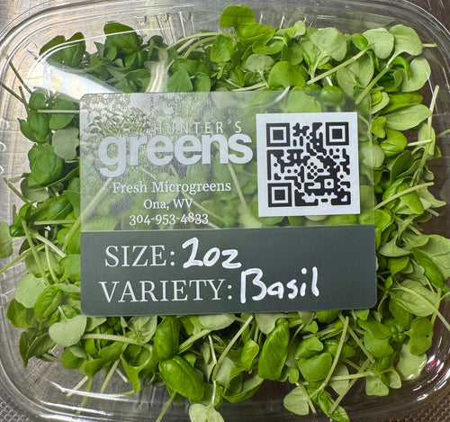 Basil Microgreens